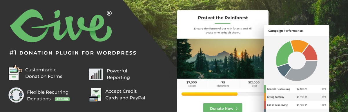 Banner advertising "GiveWP: The #1 Donation plugin for WordPress."